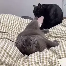 🥰