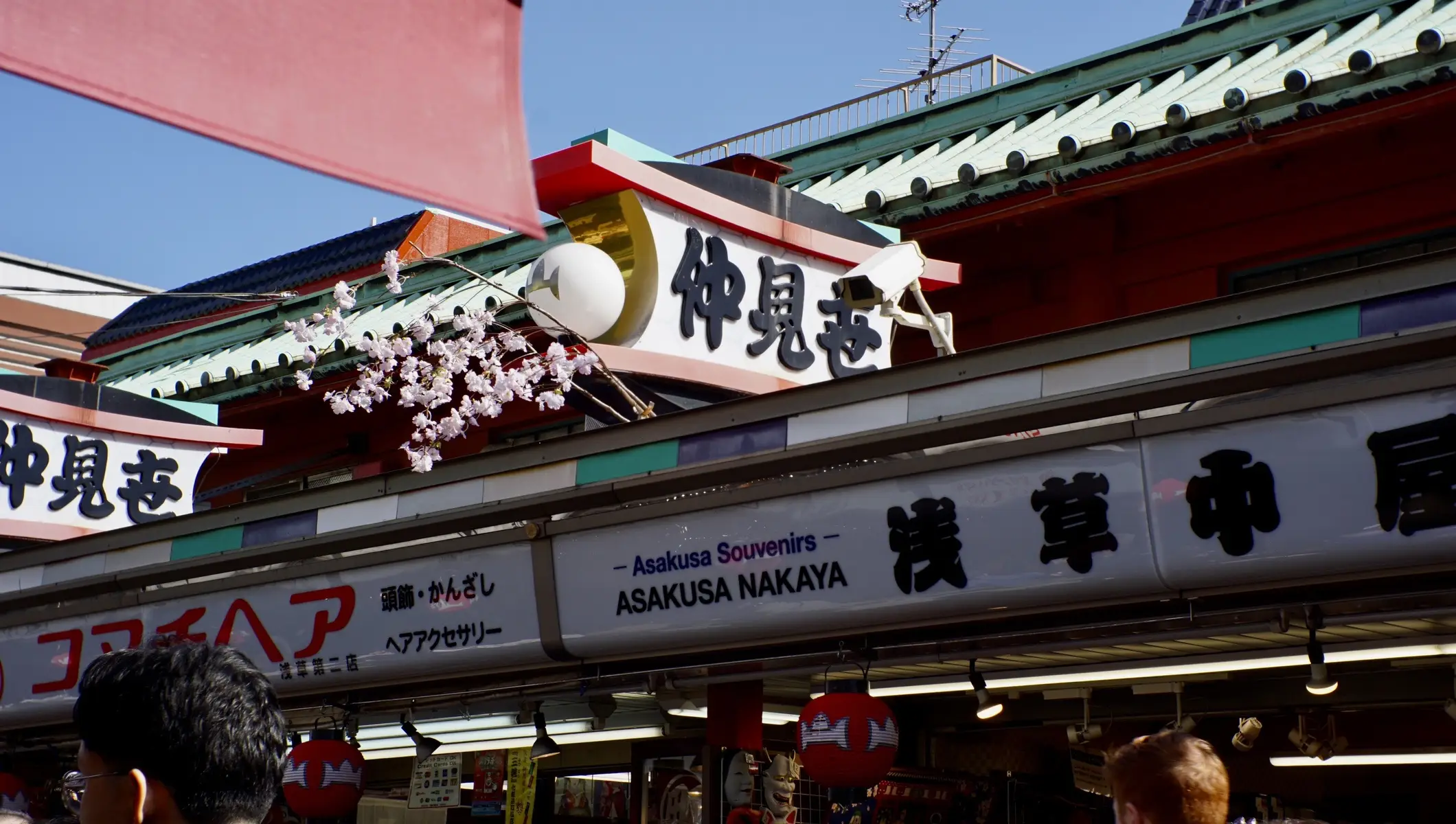 Some taken pictures ⛩️❤️ #fyppppppppppppppppppppppp #studentinjapan #tokyotravel #studentinjapan #solotravel 