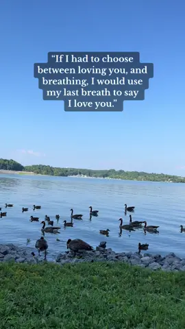 #myeverything❤️myworld❤️ #fyp #iloveyou #lovequotes #forever #mylove #everykiss #everymoment #thankful #myoneandonly #everymemory 