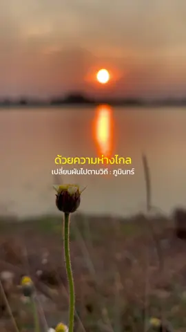 เปลี่ยนผันตามวิถี : ภูมินทร์ #เปลี่ยนผันไปตามวิถี #ภูมินทร์ #phumin #เพลงฮิตtiktok #เพลงเพราะ 