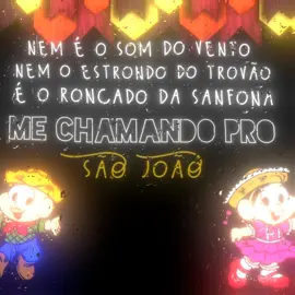 São João de todos os tempos - Mastruz com Leite #lyrics #lyricsvideo #fyp #fy #forrodasantigas #forro #saojoao #festajunina #quadrilhajunina 