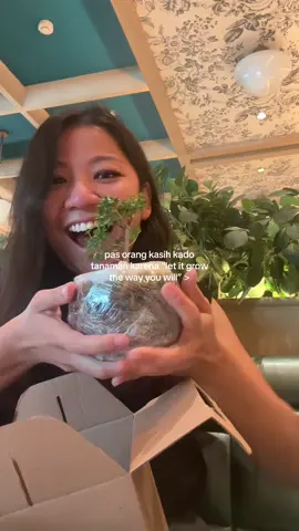 jujur paling suka banget kalo pada kasih aku tanaman! Ini beneran shock banget liat dikasih sama von von!! Makasihhhh libra to my gemini hehe 🫶🌱 #fyp 