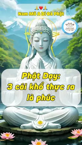 Phật dạy 3 cái khổ có vẻ là hoạ thực ra là phúc #phattaitam #adidaphat #phapphuccotho 