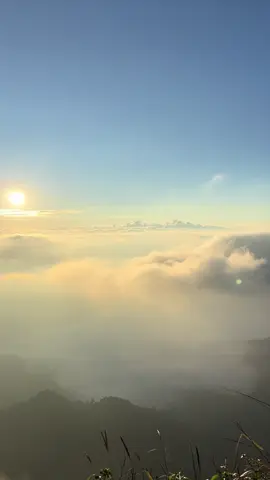 อยากเจอบ่อยๆ ความสุขของเรา🌫️😌#บันทึกการเดินทาง #ธรรมชาติบําบัด #เที่ยวธรรมชาติ #