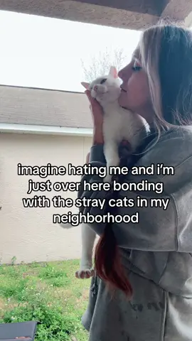 sorry im busy #cat #catsoftiktok #catlover #animallover 