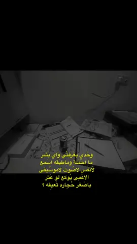 بقى ٩١ يوم ، كلش خايف ، بس منو شنو ، صار سنتين ادرس و اتعب و مصاريف من اهلي و تعب ١١ سنه دراسية معتمد على هل مرحلة ، خايف بالاخير اخيب ظن اهلي و مدرسييني ، بعد ما استاذ صدام و ست نادية كلولي دكتور بعد التفوق الي يمهم خايف بالوزاري ما اصيب ، بس املنا بس برب العالمين ، و الي علينا احنى بس نكمل سعي ، الوزاره السنه هواي قررات اتخذتها بوقت كلش متأخر بس الحمد لله على كل حال و احنى كدها ان شاء الله #سادس #سادسيون #fypシ #fyp #viral #foryou #explore #معهد_الاماني #العراق #دفعه2024 