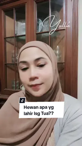 Hewan apa yg lahir lsg tua?? 🤭😅 #hanyahiburan #kontenlipsingtiktok #lipsync #lipsing #fyp #fypviralシ #kontenkomedi #komedikocak #komedingakak #viraltiktok #viral #ngakak #lucu #viralvideo #videolucu #lipsinglucungakak #lipsynctiktok 