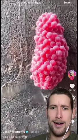 @Jason Moments snail eggs 
