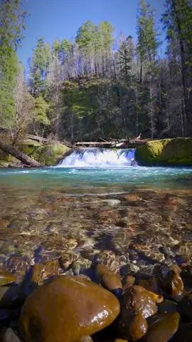 Discovering serenity in the embrace of nature's masterpiece—an incredibly beautiful and tranquil waterfall with crystal-clear blue waters 😍 #waterfall #waterfallchasing #waterfalls #calm #peace #tranquil #bluewater #clearwater #slowmotion #djiglobal #djiactioncam #godislove #natureismytherapy #oregonexplored #pnwonderland #cascadia 