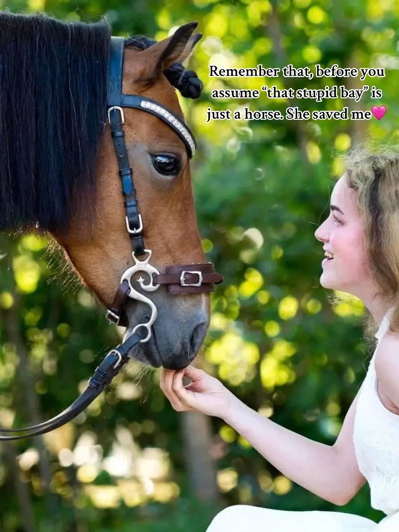 Vet on tuesday & i’m so nervous.. No matter what result, we’ll figure it out - like we always do. You & me forever Flower🩷 Forever 🩷 IG: Ida_flower_spot ✨ #trend #fy #boost #foryou #foryoupage #fyp #trending #pferd #horse #horses #loveofmylife #jumping #forever #horselove #horsesoftiktok #Love