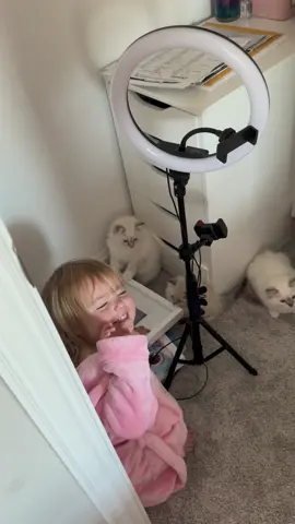 Blossom always has a fun time with the kitties... except when they try to steal her food 