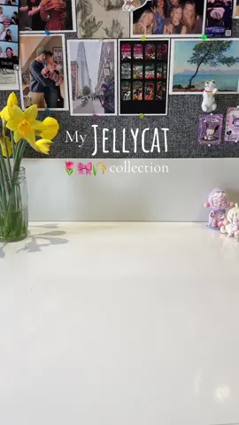 Don’t judge the names I’ve given them!🙏🏼 @Jellycat  #jellycatcollection #jellycat #fyp 