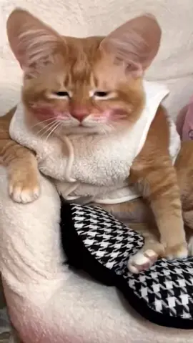 👍