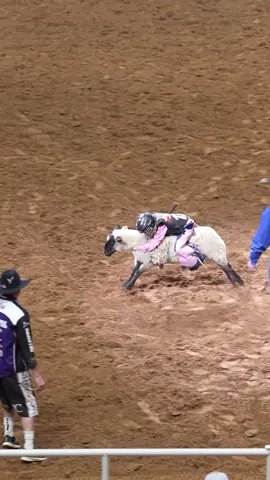 Your #muttonbustin champ of the day! 🏆🐑😊 #rodeo #cowgirl @rodeoreels 