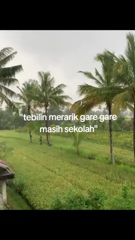 nyalakt#sasaktulen🙂❤️ #lombokvirall🌴🌴 #lomboktimur🌴🏝lombokkk #fyppppppppppppppppppppppp 