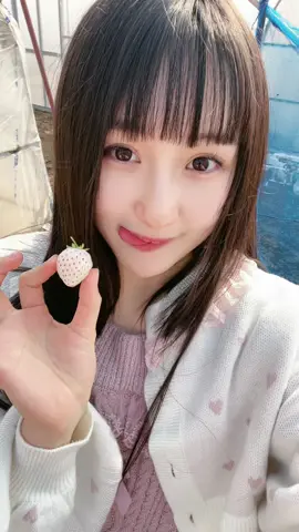 いちご狩り！ お洋服と同じ！🍓 # いちご狩り#アイドル練習生 #06 #sjk 
