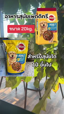 #อาหารสุนัข #อาหารสุนัขเพดดิกรี #pedigree #อาหารสุนัขpedigree 