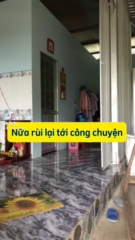 Ổng ăn rui tối ngày báo qua báo rui#emgaiquemientay #tuyenlinh #vuinhonhaihuoc❤️xuhuong #lenxuhuong 