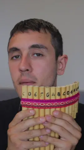 Our easy-to-follow tutorial of Happy Birthday on the panpipes.  #happybirthday #panpipes #panpipesmusic #panpipestutorial #instrument #sounds #musician #percussion #fyp 