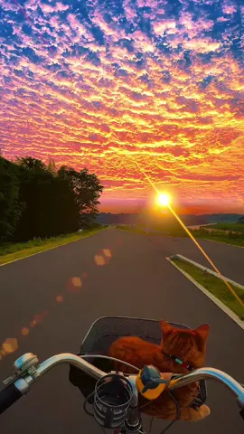 Sunset and You，I like both of them. #sunset #fyp 