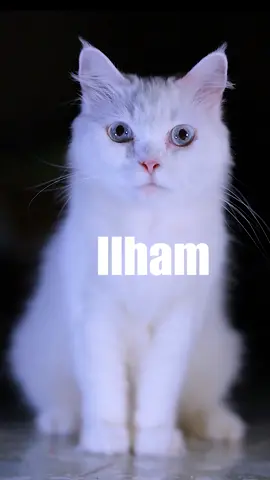 Ilham