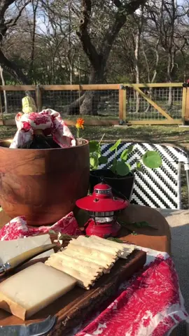 Sun, flowers, cheese, champagne, dogs, chickens…..what could be a better excuse to set the table? #homeinspo #homedecor #backyardvibes 