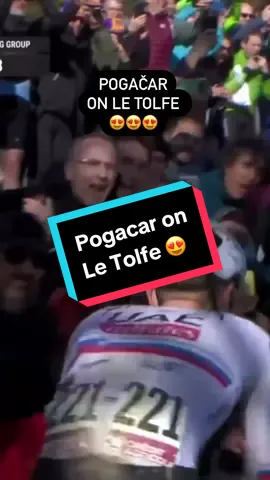 Pogačar on Le Tolfe = perfection 😍 #stradebianche #roadcycling #pogacar 