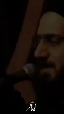 ارشيف قصيدة (زائر الخرابه) الرادود || سيد سلام الحسيني || الشاعر || احمد اللامي || #شور #ويبقى_الحسين #محرم 
