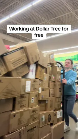 I went to a random dollar tree and tried working there for free 