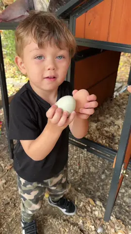 Amor eterno por sus gallinas (y los animales😍) #toddler #toddlersoftiktok #toddlerroutine #crianza #maternidad 