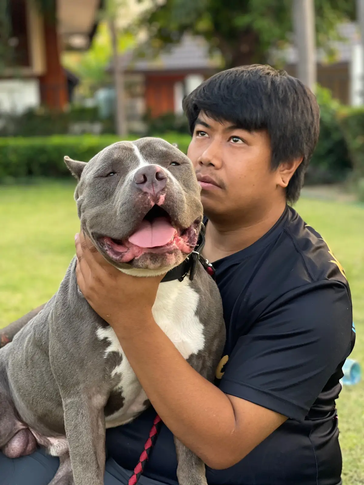 บ๊อบบี้กับพ่อๆ เด็กต้อยของพ่อกับแม่🥰💕#สัตว์เลี้ยงtiktok #Americanbully #ทาสหมาทาสแมว #พิทบูล #พิทบลูเป็นหมาติ๊งต๊อง #อเมริกันบูลลี่ #หมาน้อย #คลิปหมาตลกๆ #หมาน่ารัก #สวนสัตว์tiktok 