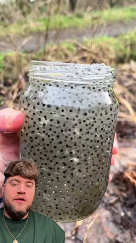 #duet I NEED A PART TWO TO THIS ASAP ! @Mini frog army🐸 - IG - richardsalesofficial #viral #xyzbca #FYP 