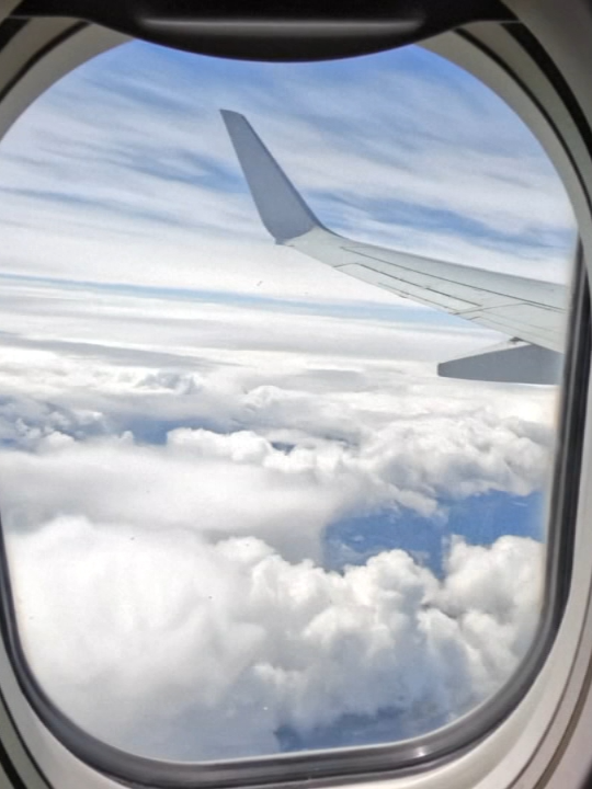 A video is sparking debate over who gets to control the plane window seat shade. The now-viral video shows a woman battling with a child in the row in front of her over the airplane shade. #news #fyp #travel #window