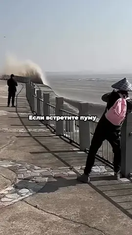Факты которые спасут тебе жизнь! #факты #фактыкоторыеспасуттебежизнь #интересныефакты #фактыожизни 