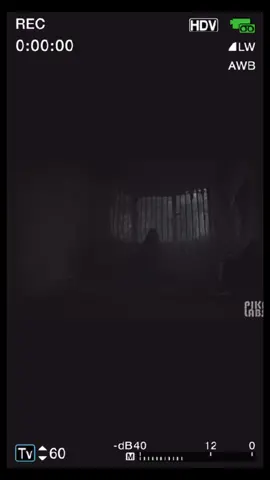 Banshees #banshee #bansheeghost #ghost #ghosts #paranormal #paranormaltiktok #ghostvids #creepy #scary #horror #weird #unsettling #nightmare #horrortok #weirdtok #creepytok #scarytok #pikalabs #analoghorror #aiart #fear #weirdchillz 