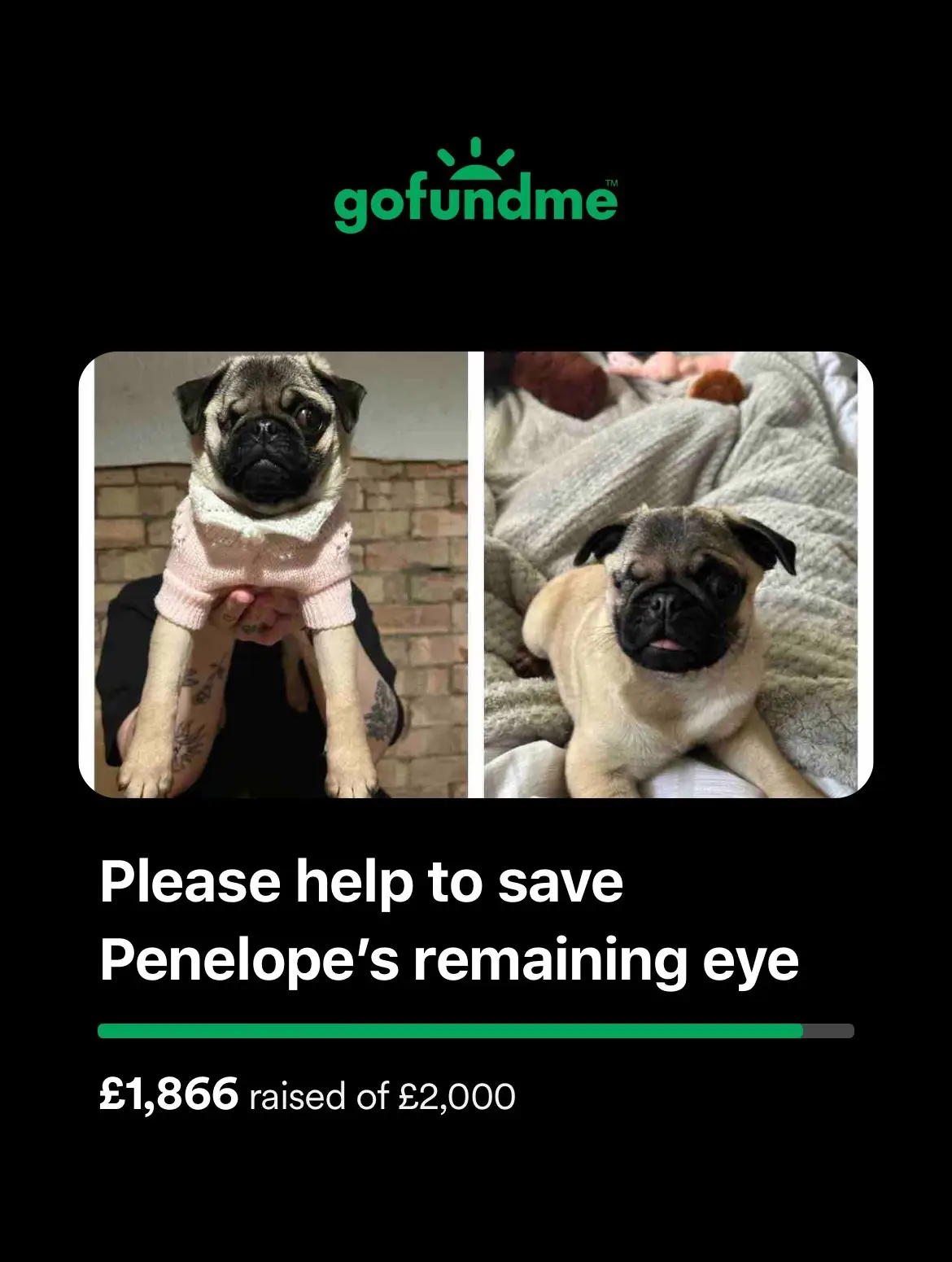 #GoFundMe link in bio please donate. If 27 people can donate £5 penny will have enough money for her surgey on monday :(❤️#puppy #pug #foryoupage #helpmydog #lucky #helpmydog #crying 