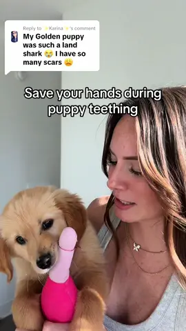 Replying to @✨Karina✨ All the comments about our puppies getting the hands, wrists, ankles, &sanity 😂- ive been coating my hands in this stuff. #goldenretriever #puppy #skincare #handcare #dryhands #chappedskin #puppybiting #hands #handcream #healscars #handcreamreview #puppyproblems 