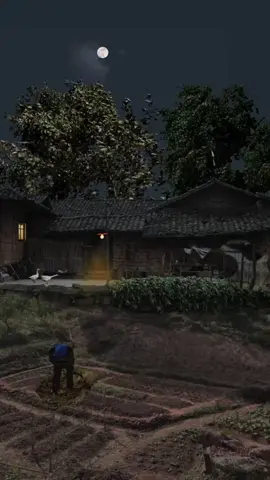 Cảnh quê nhà về đêm bình yên 🌙🏚️🍃#anyen #annhien #kyucxua #hoainiem #quehuong #tuoitho8x9x #tuoitho #quenha 