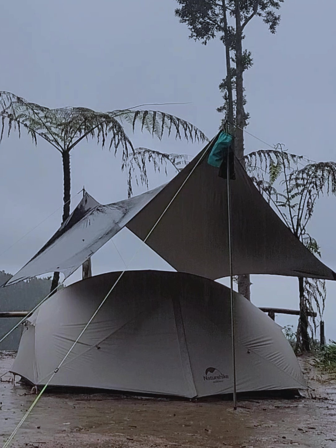 Camping in Heavy Rain, Cooking and diner in cosy tent, Camping sendirian hujan deras [Ep 5 part 5] #campingintherain#heavyrain#solocamping#hujanderas #biryani#relaxingvideos#asmr#rain#campinglife#campinghujanderas