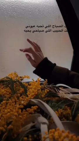 #راشد_الماجد #راشديات💙 #صباح_الخير #صباحكم_أحلى_صباح #اكسبلوررررر #اكسبلورexplore #explorepage #🇶🇦🇶🇦🇶🇦🇶🇦 #غرور_وكبرياء_انثى👑❤️ 