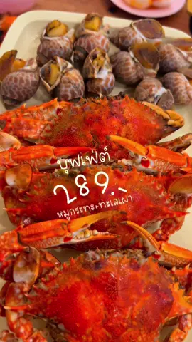 บุฟเฟ่ต์หมูกระทะร้านนี้แกก็คุ้มเกิ๊น กินกุ้งเผาหมดร้านมีอยู่จริง 🦞🦀 #รีวิวบุฟเฟ่ต์ #บุฟเฟ่ต์หมูกระทะ #บุฟเฟ่ต์กุ้งเผา #บุฟเฟ่ต์ซีฟู้ด #กุ้งแม่น้ำ #รีวิวหมูกระทะ #ร้านปิ้งย่าง #หมูกระทะลาดพร้าว #บุฟเฟ่ต์ไม่จำกัดเวลา #ร้านอาหารลาดพร้าว #จันทร์เกษมบาร์บีคิวซีฟู้ดลาดพร้าว #บุฟเฟ่ต์ราคาถูก #ซีฟู้ดราคาถูก #กินได้ไม่อั้นไม่จำกัดเวลา #พิกัดลับกรุงเทพ #ถูกและดี #ttlocalserviceth #พิชชี่รีวิวกินเที่ยว #พิชชี่โออิชิจัง #PCHYZ 