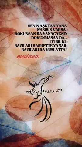 nasibin varsa... #dalya #sozler #nasibin #varsa #aşktan #yana #bilki #bazıları #hasrette #yanar #bazende #vuslat #mevlana #rumi #mevlanasözleri #fypシ #fyp 