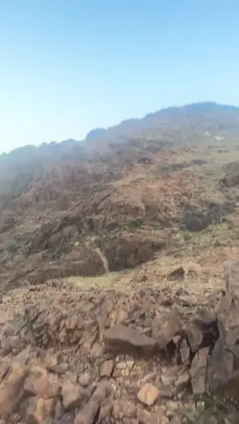 البدان