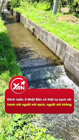 Những kênh nước ở Nhật Bản có thật sự sạch sẽ như lời đồn? #YAN #YANNews #TikTokNews #TikTokGiaiTri #nhatban 