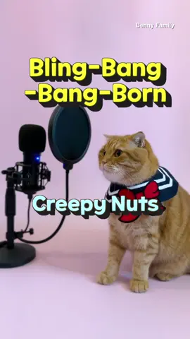 베니의 Bling-Bang-Bang-Born - Creepy Nuts cover by Benny the Cat 😻❤️ #blingbangbangborn #creepynuts #블링방방본 #베니패밀리 #bennyfamily #bennycat #cat #고양이 #고양이노래 #catsinging #cutecat #cute #viral 