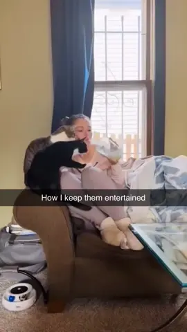 #funnyvideos #memes #catsoftiktok #entertainment 
