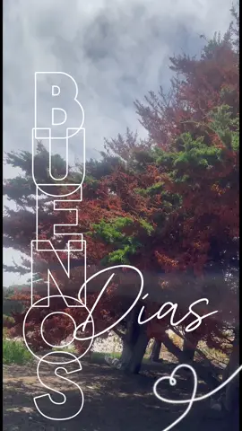 Buenos dias🌞🌞🌞🌞🌞🌞🌞 . . . #buenosdias#cafe#bendecidodia#música instrumental #felizdia#felizamanecer🌅 #domingo#felizdomingo#felizdomingoparatodos #buenosdiasporlamañana #buenosdiasatodos #CapCutMotivacional #paisaje#playa #paisajesnaturales #paisajeshermosos 