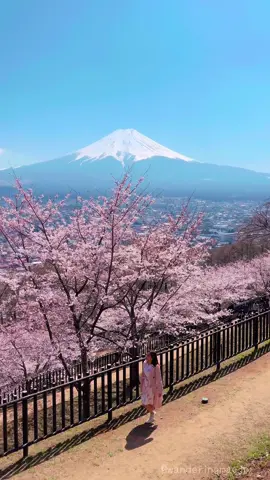 Throwback to my breathtaking Sakura adventures! 🌸  In April 2022, I was enchanted by the magical Arakurayama Sengen Park. Fast forward to February 2023, and the stunning landscapes of Minami Izu took my breath away. Each journey was a unique tapestry of pink blossoms and serene beauty that I’ll cherish forever. 🌸✨ And hey, want a piece of this pink paradise for your phone? Comment ‘SAKURA’ and I’ll send you my absolute favorite photo for a dreamy wallpaper! 📸💕 #sakuraseason #japantravel #cherryblossom #日本が好きな人と繋がりたい #traveljapan #globalwanderer #tourjapanwithperla #filipinoinjapan #discoverjapan #osakacastlepark #springinjapan #sakura🌸  #sakuraseason #cherryblossoms #japantravel #arakurayamasengenpark #minamiizu 