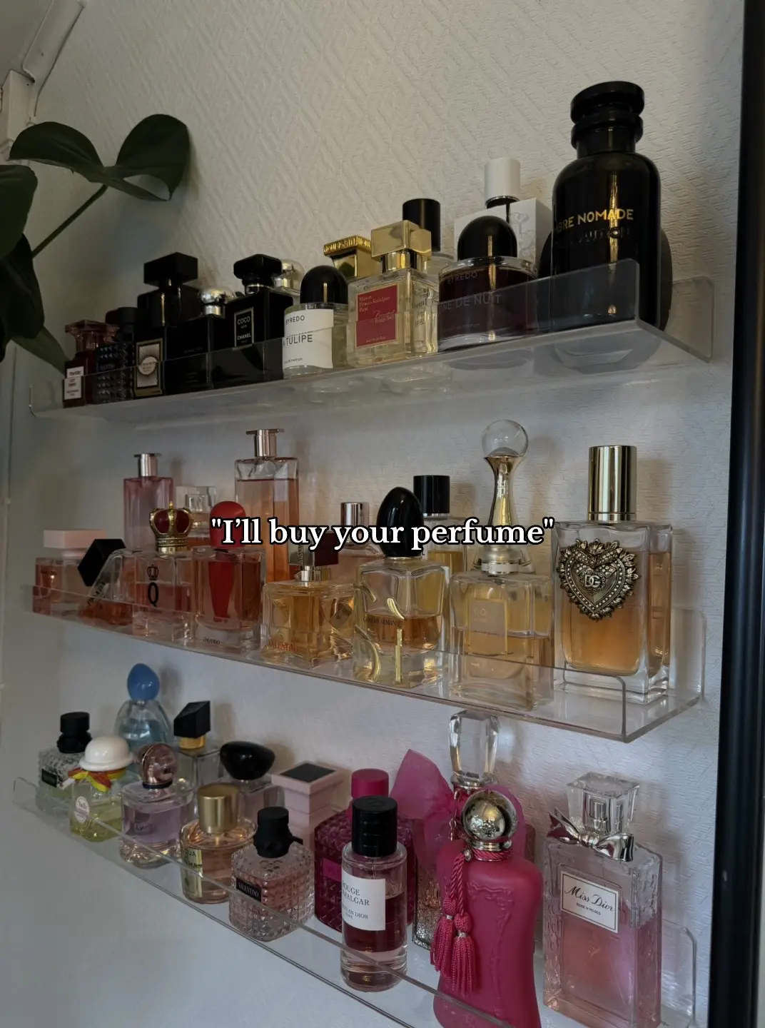 #perfumetiktok #perfumecollection #fragrancetiktok #foryoupage #foryou #fyp 