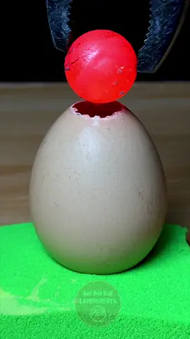 RHCB vs Brown Egg 🥚😱 What’s Next ? #donebyprofessional #dontattemptathome #satisfying #experiment #science #asmrsounds #rhcb #eggs #fyp #ustiktok 